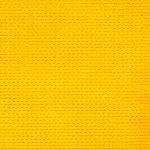 Sunflower Yellow Z16